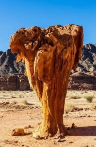 Mushroom Rock
